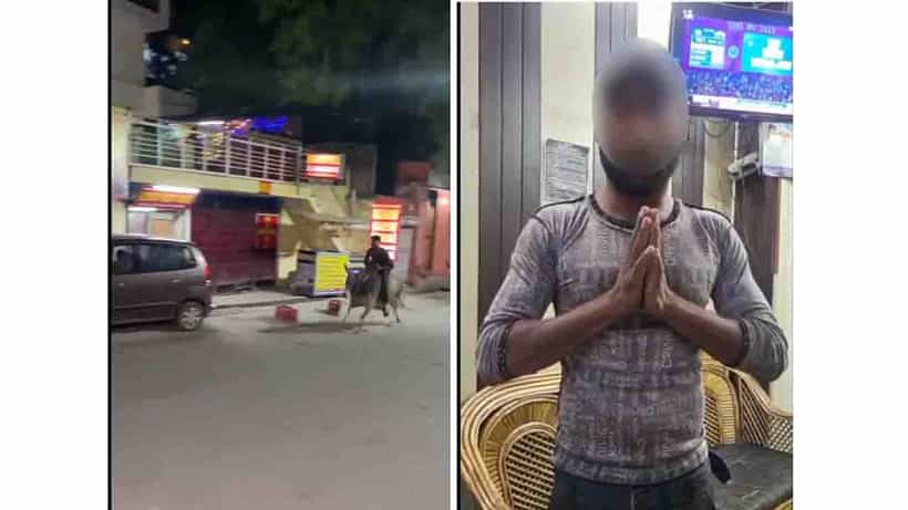 ಕುಡಿದ ಮತ್ತಿನಲ್ಲಿ ಮಧ್ಯರಾತ್ರಿ ಗೂಳಿಸವಾರಿ; ಪೊಲೀಸರೆದುರು ತಪ್ಪೊಪ್ಪಿಕೊಂಡ ಯುವಕ