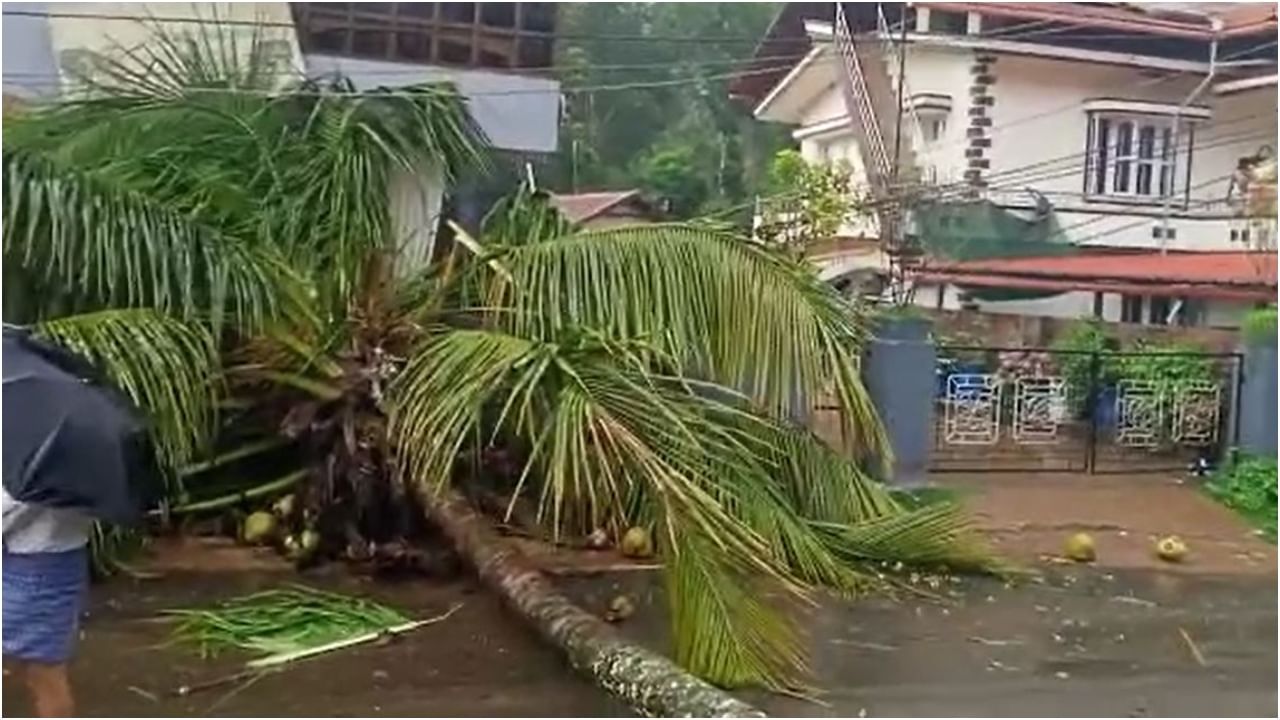 heavy rain at Napoklu Kodagu Tree and electricity pole fallen Karnataka weather predictions