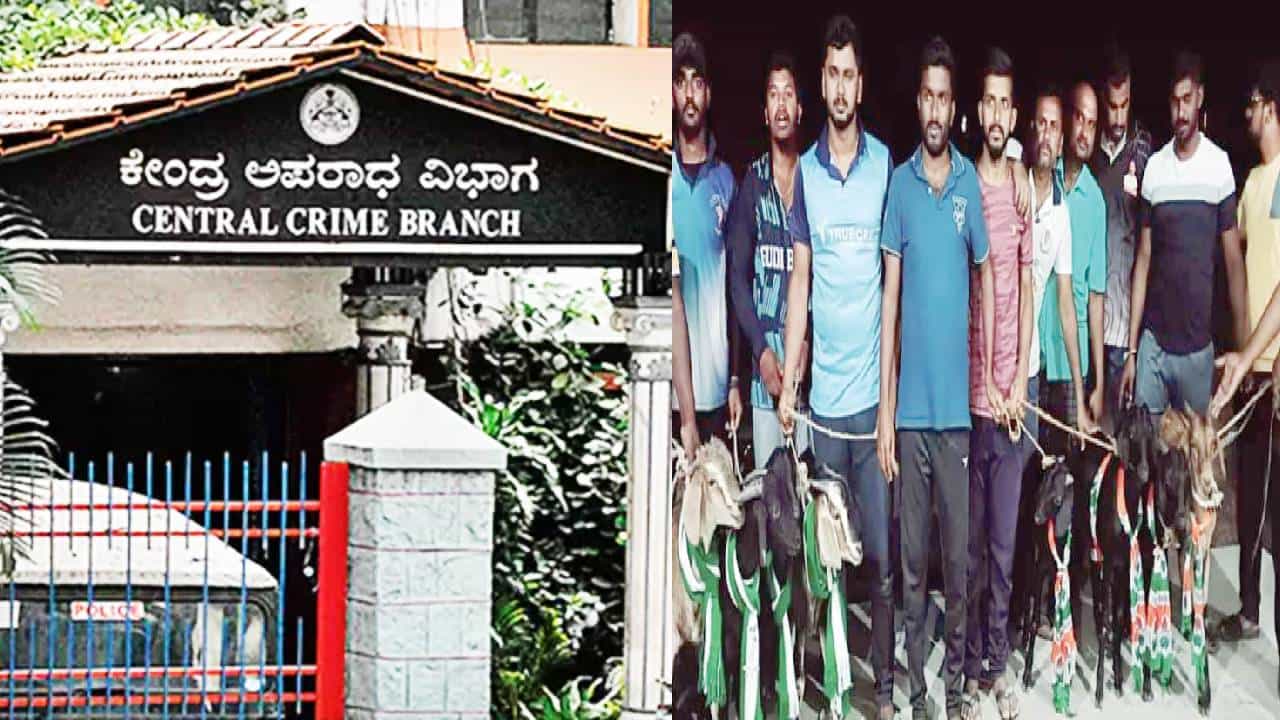 Karnataka Polls 2023: ಅಭ್ಯರ್ಥಿಗಳ ಸೋಲು ಗೆಲುವಿನ ಮೇಲೆ ಬೆಟ್ಟಿಂಗ್ ಕಟ್ಟುವವರೇ ಹುಷಾರ್ Karnataka Polls 2023: ಅಭ್ಯರ್ಥಿಗಳ ಸೋಲು ಗೆಲುವಿನ ಮೇಲೆ ಬೆಟ್ಟಿಂಗ್ ಕಟ್ಟುವವರೇ ಹುಷಾರ್