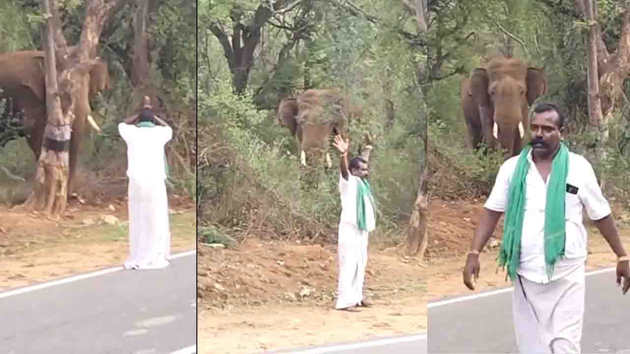 ಕುಡಿದ ಮತ್ತಿನಲ್ಲಿ ಸಲಗದ ತಂಟೆಗೆ ಹೋಗಿಯೂ ಪಾರಾದವನ ಕತೆ