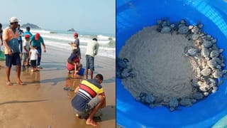 ಪ್ರತಿಷ್ಠಿತ ಕಾನ್ ಸಿನಿಮೋತ್ಸವದಲ್ಲಿ ಭಾರತದ ಸೆಲೆಬ್ರಿಟಿಗಳು; ಇಲ್ಲಿದೆ ಗ್ಯಾಲರಿ