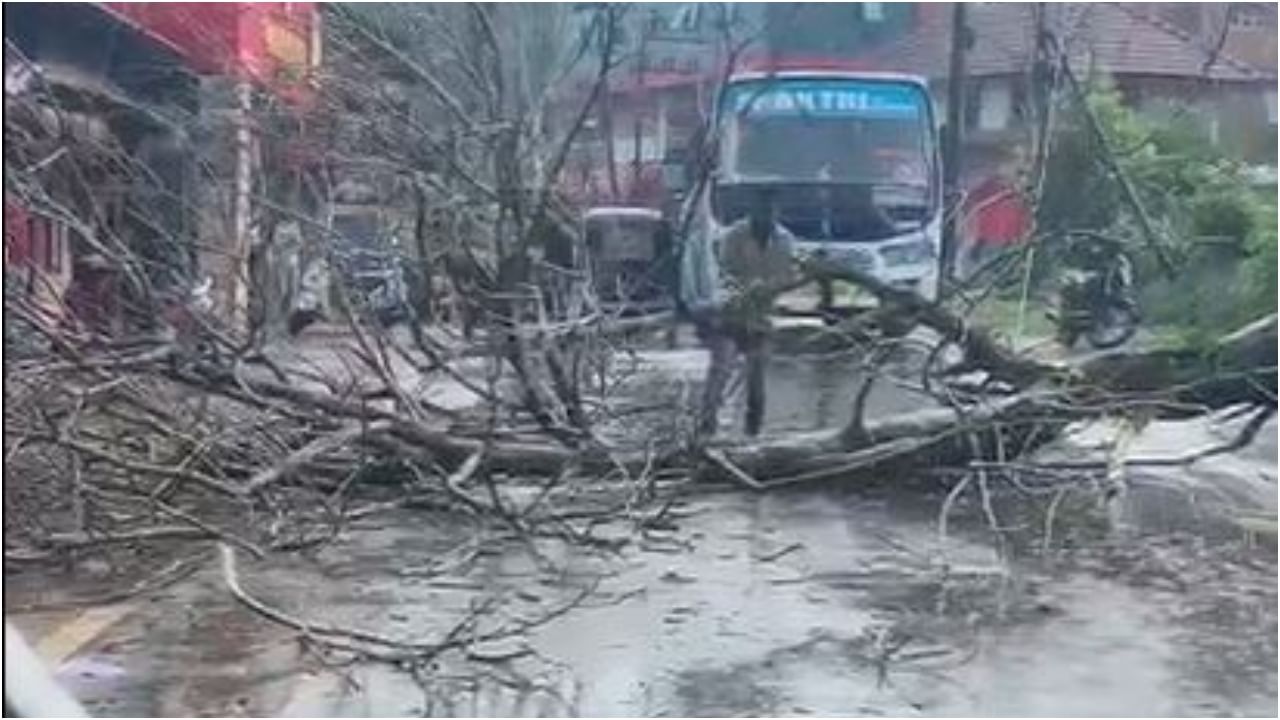 heavy rain at Napoklu Kodagu Tree and electricity pole fallen Karnataka weather predictions