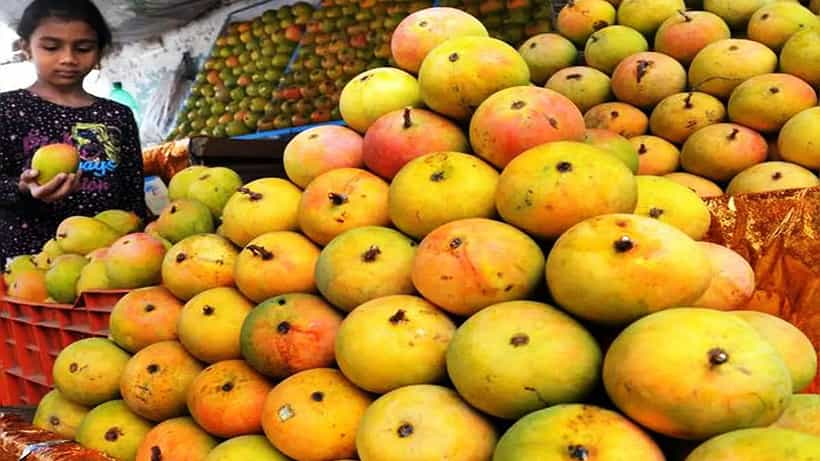 Bengaluru News: ಲಾಲ್ಬಾಗ್ನಲ್ಲಿ ಮಾವು, ಹಲಸಿನ ಮೇಳ ಉದ್ಘಾಟಿಸಿದ ಶಾಸಕ ರಾಮಲಿಂಗಾರೆಡ್ಡಿ