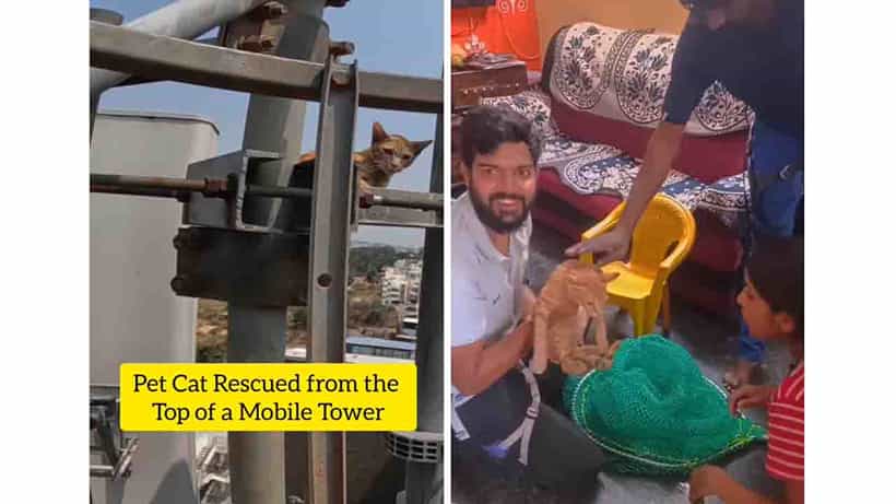 ಹೇ ಬೆಕ್ಕೇಶ್ವರಿ, ಮೊಬೈಲ್ ಟವರ್ ಏರುವಂಥ ಸೆಳೆತ ಅಲ್ಲೇನಿತ್ತು?