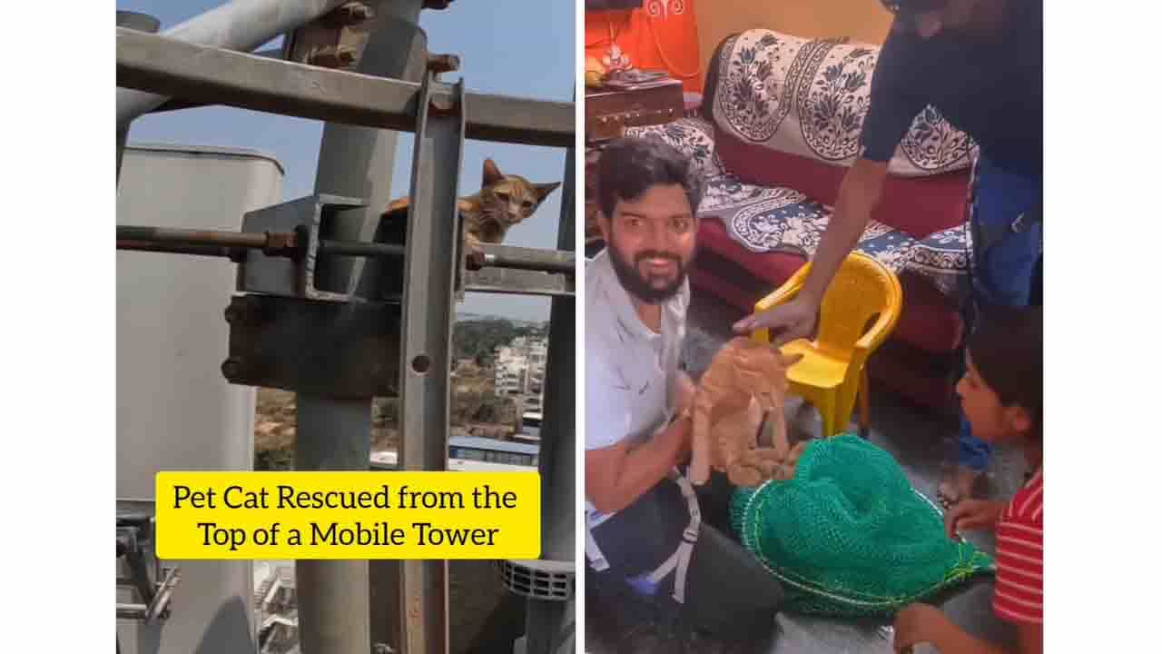 ಹೇ ಬೆಕ್ಕೇಶ್ವರಿ, ಮೊಬೈಲ್ ಟವರ್ ಏರುವಂಥ ಸೆಳೆತ ಅಲ್ಲೇನಿತ್ತು? ಹೇ ಬೆಕ್ಕೇಶ್ವರಿ, ಮೊಬೈಲ್ ಟವರ್ ಏರುವಂಥ ಸೆಳೆತ ಅಲ್ಲೇನಿತ್ತು?