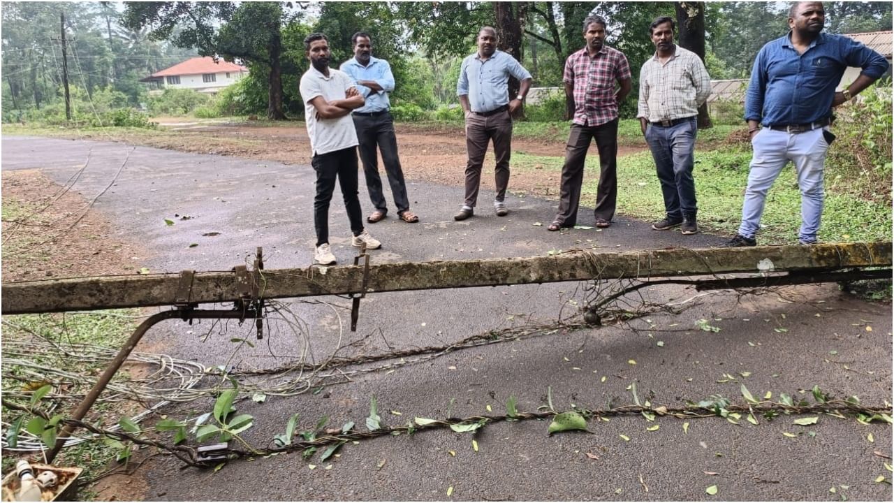 heavy rain at Napoklu Kodagu Tree and electricity pole fallen Karnataka weather predictions