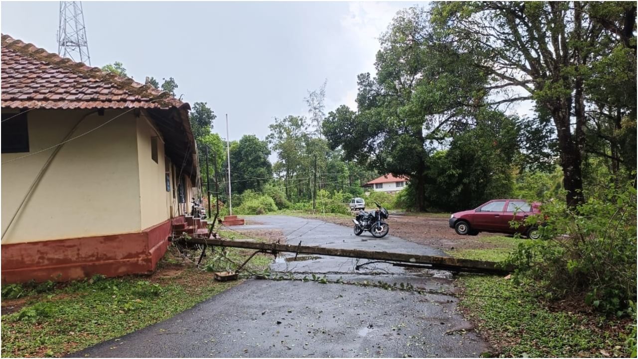 heavy rain at Napoklu Kodagu Tree and electricity pole fallen Karnataka weather predictions