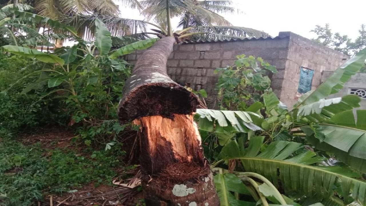 Karnataka Rain Alert More Rainfall Expected In state For Next 5 Days Check Weather Forecast