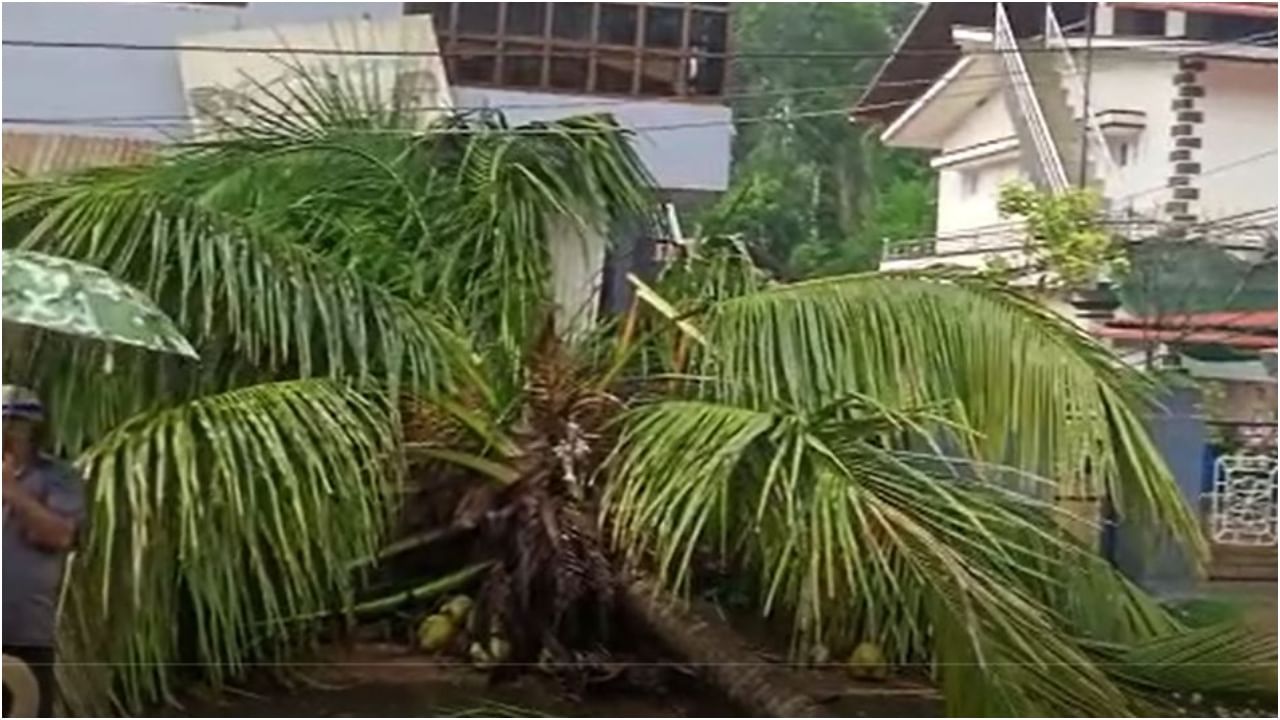 heavy rain at Napoklu Kodagu Tree and electricity pole fallen Karnataka weather predictions