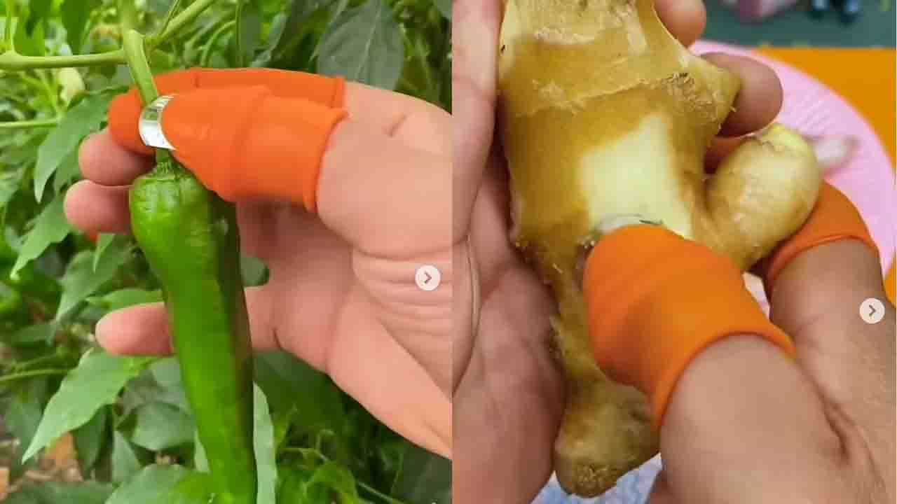Viral Video: ಇದೊಂದಿದ್ದರೆ ಯಾರೂ ಏನನ್ನೂ ಚಿವುಟಬಹುದು ಕತ್ತರಿಸಬಹುದು ಸುಲಿಯಬಹುದು!