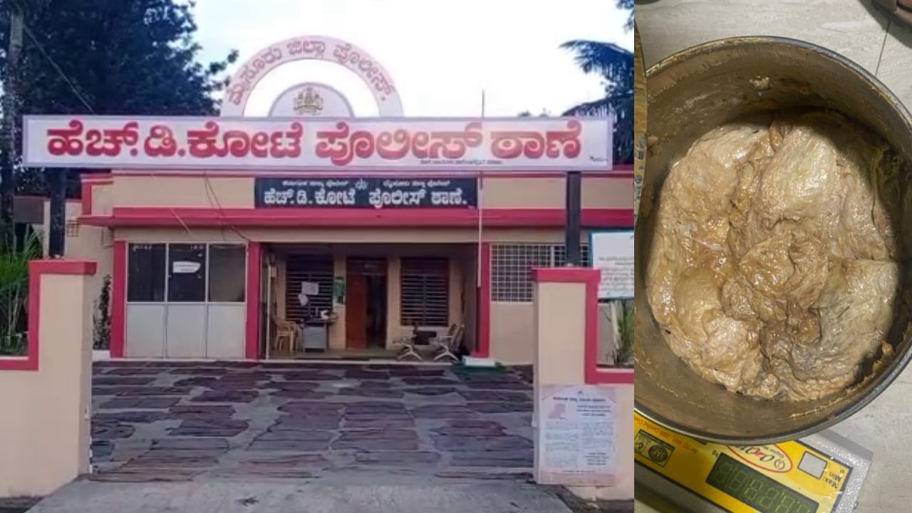 ಮೈಸೂರು ಜಿಲ್ಲಾ ಪೊಲೀಸರ ಮಿಂಚಿನ ಕಾರ್ಯಾಚರಣೆ; ಕೋಟ್ಯಾಂತರ ರೂ. ಮೌಲ್ಯದ ತಿಮಿಂಗಿಲ ಅಂಬರ್ ಗ್ರೀಸ್ ವಶ ಮೈಸೂರು ಜಿಲ್ಲಾ ಪೊಲೀಸರ ಮಿಂಚಿನ ಕಾರ್ಯಾಚರಣೆ; ಕೋಟ್ಯಾಂತರ ರೂ. ಮೌಲ್ಯದ ತಿಮಿಂಗಿಲ ಅಂಬರ್ ಗ್ರೀಸ್ ವಶ