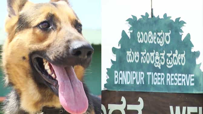 ಬಂಡೀಪುರ ಅರಣ್ಯ ಸಂಪತ್ತು ರಕ್ಷಣೆ ಮಾಡಲು ಬಂದ ದ್ರೋಣ, ಇಲ್ಲಿದೆ ಫೋಟೋಸ್