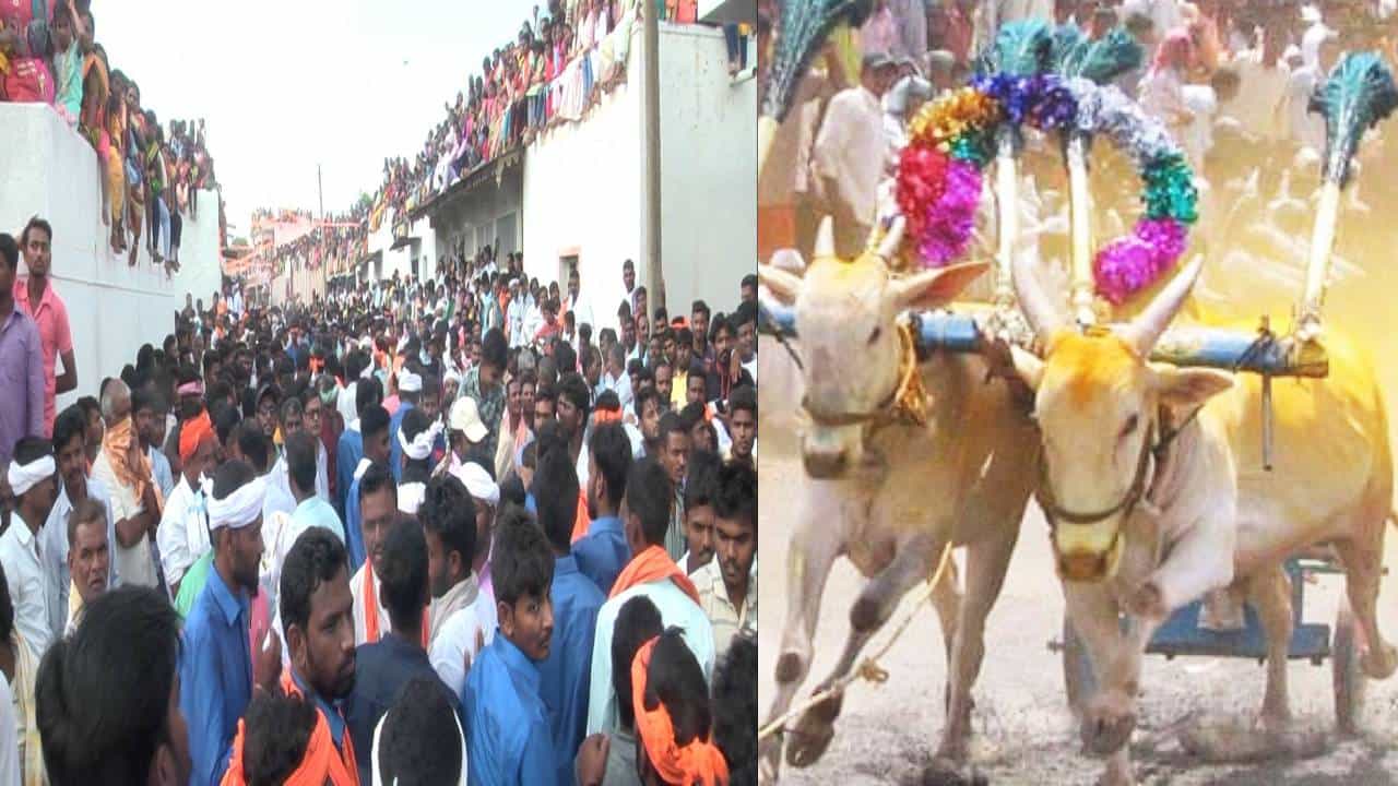 ಮಿಂಚಿನ ಓಟ ಓಡುತ್ತಿರುವ ಎತ್ತುಗಳು, ಎತ್ತಿನ ಬಂಡಿ ಓಟ ನೋಡಲು ಸೇರಿರೋ ಜನರ ದಂಡು. ಅಲಂಕಾರಗೊಂಡಿರೋ ಎತ್ತಿನಬಂಡಿ, ಅದನ್ನ ಓಡಿಸುತ್ತಿರುವ ವೀರಗಾರರು. ಹೌದು ಹಾವೇರಿ ತಾಲೂಕಿನ ಕರ್ಜಗಿ ಗ್ರಾಮದಲ್ಲಿ ಕಂಡುಬಂದ ದೃಶ್ಯಗಳಿವು.
