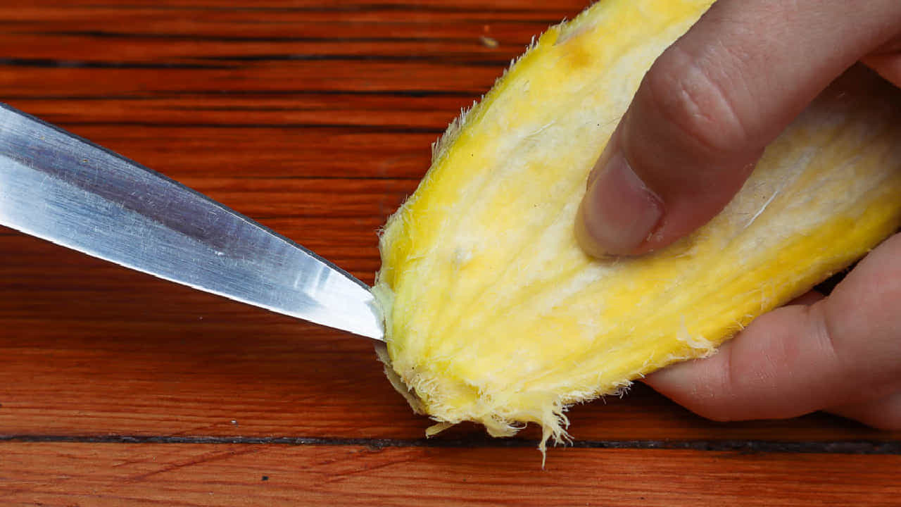 Mango Seeds: ಮಾವಿನ ಹಣ್ಣಿನ ಗೊರಟೆಯಿಂದ ಎಷ್ಟೆಲ್ಲಾ ಆರೋಗ್ಯ ಪ್ರಯೋಜಗಳಿವೆ ಎಂದು ತಿಳಿದಿದೆಯೇ?