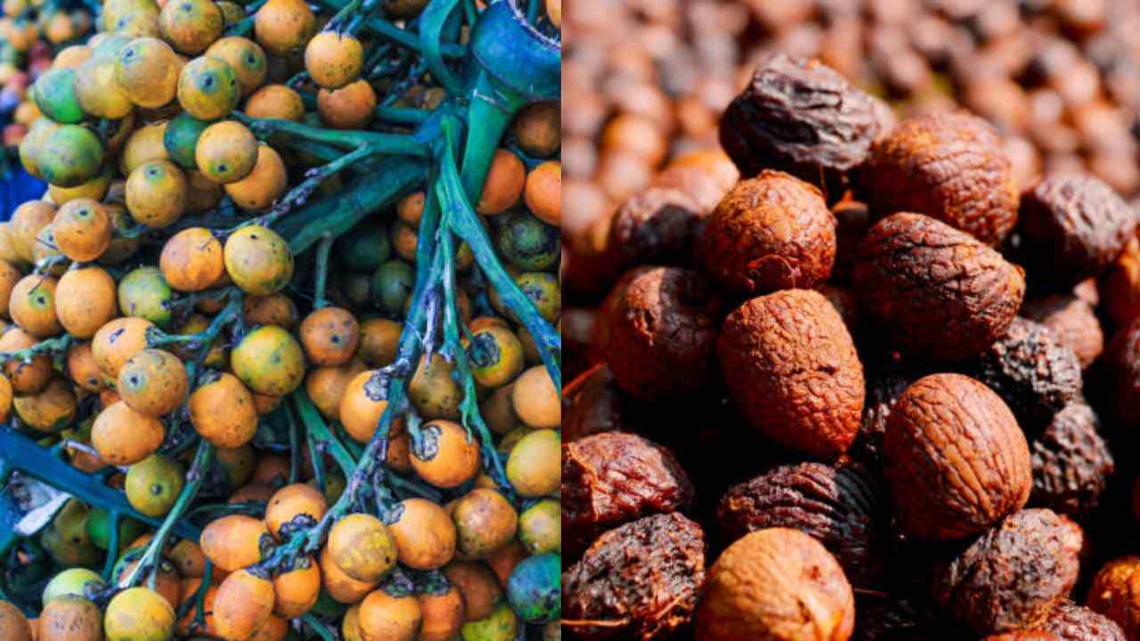 Arecanut Price 6 June: ಇಂದಿನ ಅಡಿಕೆ ಧಾರಣೆ ಎಲ್ಲೆಲ್ಲಿ ಎಷ್ಟಿದೆ? ಇಲ್ಲಿದೆ ಮಾಹಿತಿ Arecanut Price 6 June: ಇಂದಿನ ಅಡಿಕೆ ಧಾರಣೆ ಎಲ್ಲೆಲ್ಲಿ ಎಷ್ಟಿದೆ? ಇಲ್ಲಿದೆ ಮಾಹಿತಿ