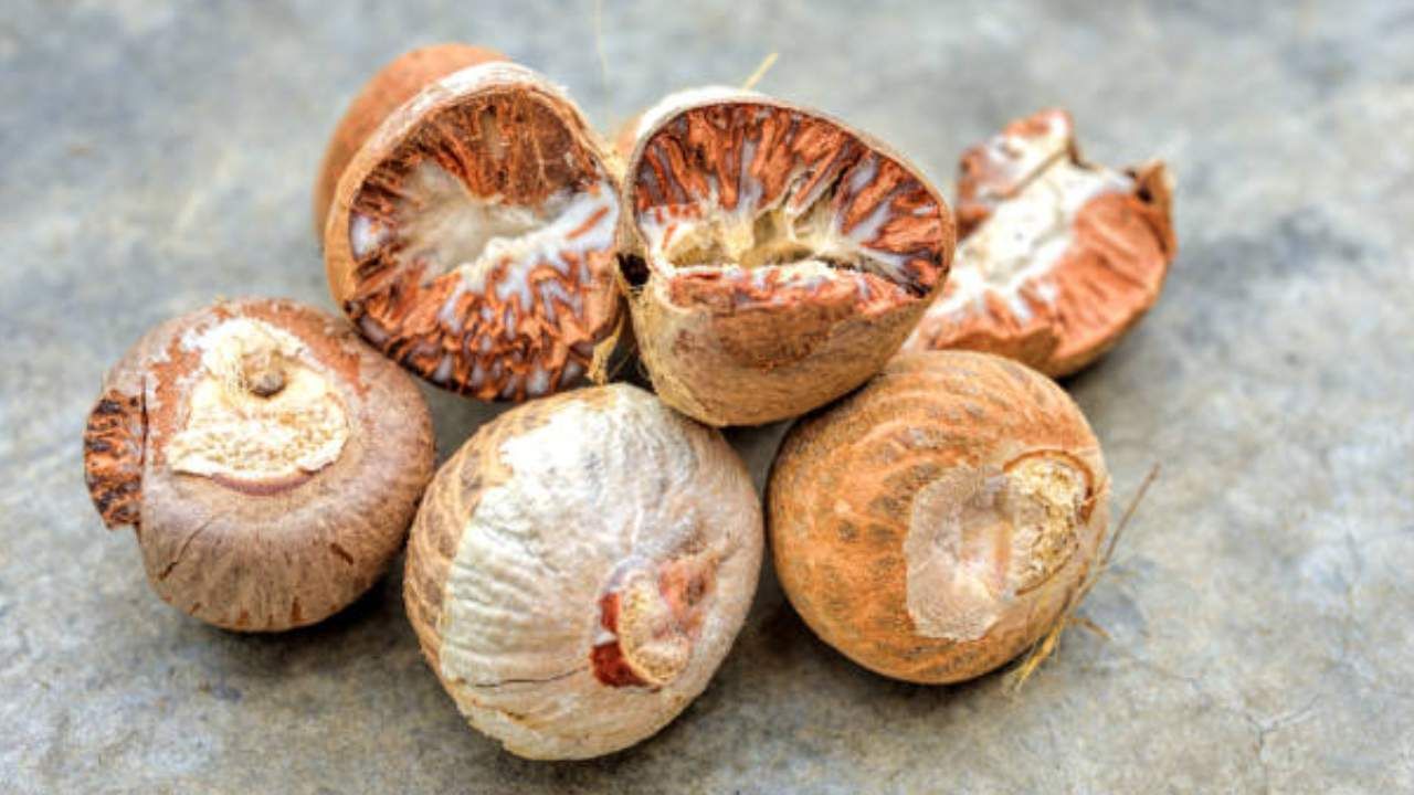 Arecanut Price 01 ಜೂನ್: ಅಡಿಕೆ ರೇಟ್, ಇಂದಿನ ಅಡಿಕೆ ಧಾರಣೆ ಎಲ್ಲೆಲ್ಲಿ ಎಷ್ಟಿದೆ? ಇಲ್ಲಿದೆ ಮಾಹಿತಿ