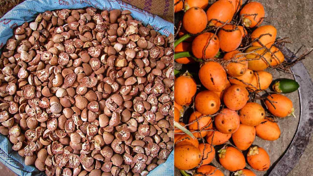 Arecanut Price 27 June: ಇಂದಿನ ಅಡಿಕೆ ರೇಟ್, ವಿವಿಧ ಮಾರುಕಟ್ಟೆಗಳಲ್ಲಿನ ಅಡಿಕೆ ಧಾರಣೆ ಹೀಗಿದೆ