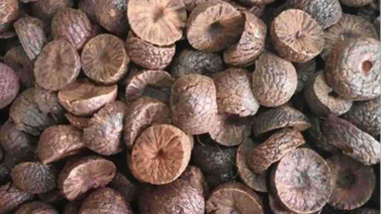 Arecanut Price 19 June: ಇಂದಿನ ಅಡಿಕೆ ಧಾರಣೆ ಎಲ್ಲೆಲ್ಲಿ ಎಷ್ಟಿದೆ? ಇಲ್ಲಿದೆ ಮಾಹಿತಿ