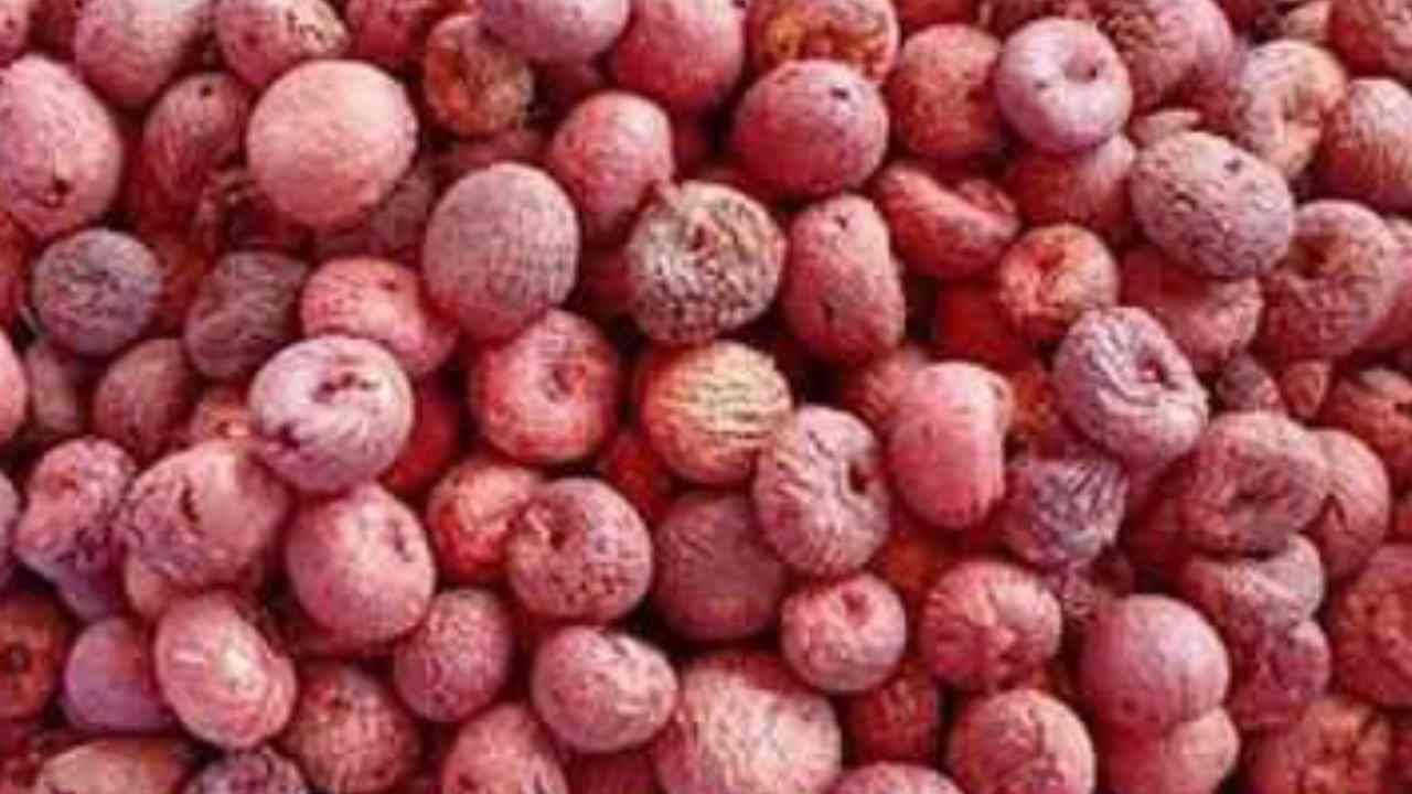 Arecanut Price 30 June: ಇಂದಿನ ಅಡಿಕೆ ಧಾರಣೆ, ವಿವಿಧ ಮಾರುಕಟ್ಟೆಗಳಲ್ಲಿನ ಅಡಿಕೆ ದರ ಹೀಗಿದೆ Arecanut Price 30 June: ಇಂದಿನ ಅಡಿಕೆ ಧಾರಣೆ, ವಿವಿಧ ಮಾರುಕಟ್ಟೆಗಳಲ್ಲಿನ ಅಡಿಕೆ ದರ ಹೀಗಿದೆ