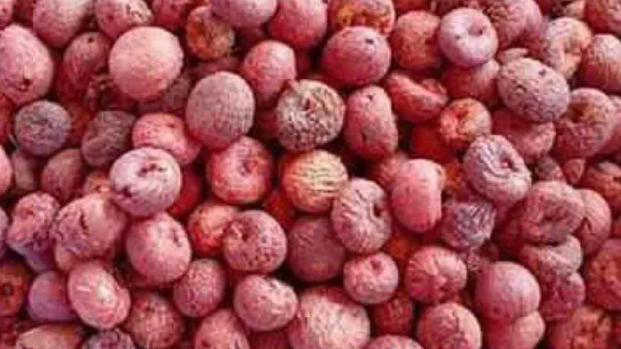 Arecanut Price 30 June: ಇಂದಿನ ಅಡಿಕೆ ಧಾರಣೆ, ವಿವಿಧ ಮಾರುಕಟ್ಟೆಗಳಲ್ಲಿನ ಅಡಿಕೆ ದರ ಹೀಗಿದೆ Arecanut Price 30 June: ಇಂದಿನ ಅಡಿಕೆ ಧಾರಣೆ, ವಿವಿಧ ಮಾರುಕಟ್ಟೆಗಳಲ್ಲಿನ ಅಡಿಕೆ ದರ ಹೀಗಿದೆ