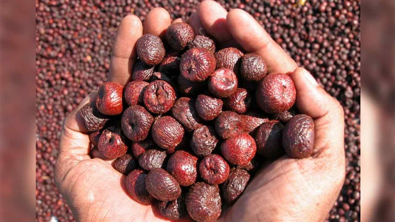Arecanut Price 15 June: ಇಂದಿನ ಅಡಿಕೆ ಧಾರಣೆ ಎಲ್ಲೆಲ್ಲಿ ಎಷ್ಟಿದೆ? ಇಲ್ಲಿದೆ ಮಾಹಿತಿ Arecanut Price 15 June: ಇಂದಿನ ಅಡಿಕೆ ಧಾರಣೆ ಎಲ್ಲೆಲ್ಲಿ ಎಷ್ಟಿದೆ? ಇಲ್ಲಿದೆ ಮಾಹಿತಿ