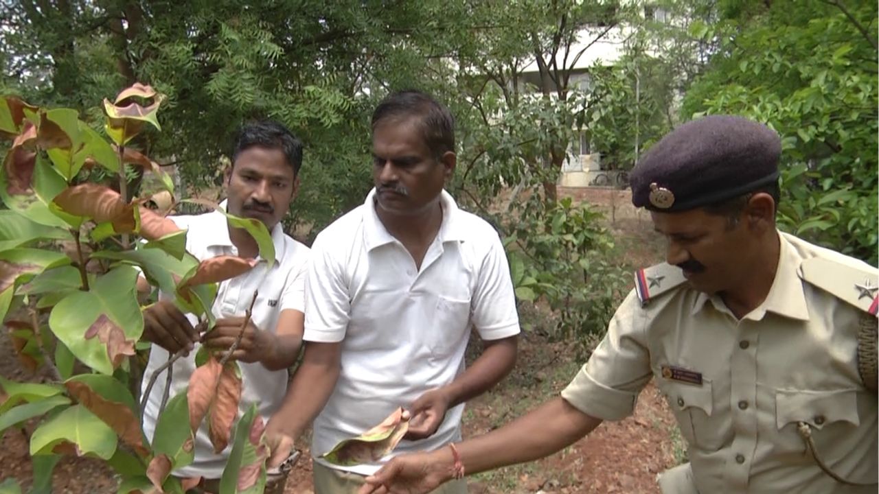 ಹಿಂದಿನ ಎಸ್ ಪಿ ಲೋಕೇಶ್ ಜಗಲಾಸರ್, ಆಗಿನ ಡಿಎಆರ್ ಡಿವೈಎಸ್ ಪಿ ಭರತ ತಳವಾರ ಅವರ ಇಚ್ಚಾಶಕ್ತಿ‌ ಉಳಿದಂತೆ ಡಿಎಆರ್ ಅಧಿಕಾರಿಗಳು ಸಿಬ್ಬಂದಿ ಶ್ರಮದ ಫಲದಿಂದ ಹಸಿರು ಅರಣ್ಯ ಕಣ್ಮನ ಸೆಳೆಯುವಂತಾಗಿದೆ.ಈಗ ಎಸ್ ಪಿ ಆಗಿರುವ ಜಯಪ್ರಕಾಶ್, ಡಿಎಆರ್ ಡಿಎಸ್​ಪಿ ಪ್ರಭು ಹಾಗೂ ಡಿಎಆರ್ ಸಿಬ್ಬಂದಿ ಮತ್ತಷ್ಟು ಗಿಡ ಬೆಳೆಸುವ ಮೂಲಕ  ಪರಿಸರ ಕಾಳಜಿ ಮುಂದುವರೆಸಿದ್ದಾರೆ.