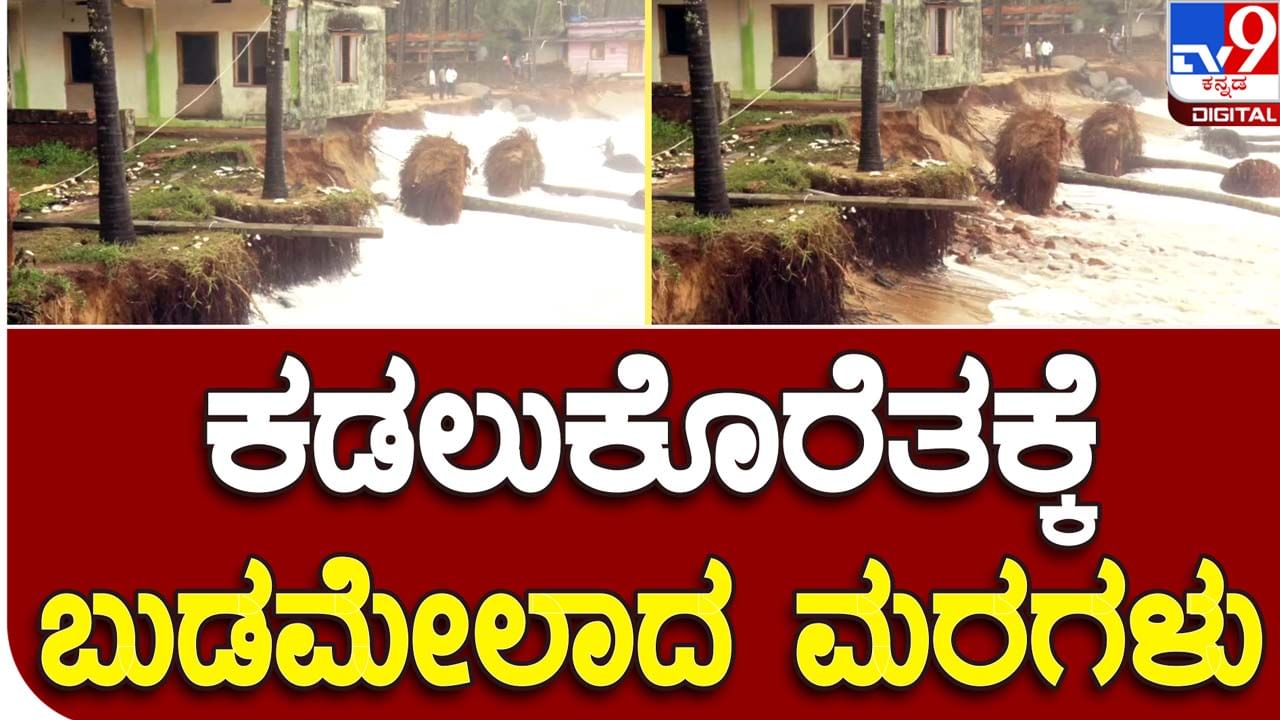 Biparjoy Cyclone: ದಕ್ಷಿಣ ಕನ್ನಡ ಜಿಲ್ಲೆಯಲ್ಲೂ ಬೀಪರ್ ಜಾಯ್ ಸೈಕ್ಲೋನ್ ಅಬ್ಬರ, ಧರೆಗುರುಳುತ್ತಿರುವ ಮರಗಿಡ ಮತ್ತು ಮನೆಗಳು!