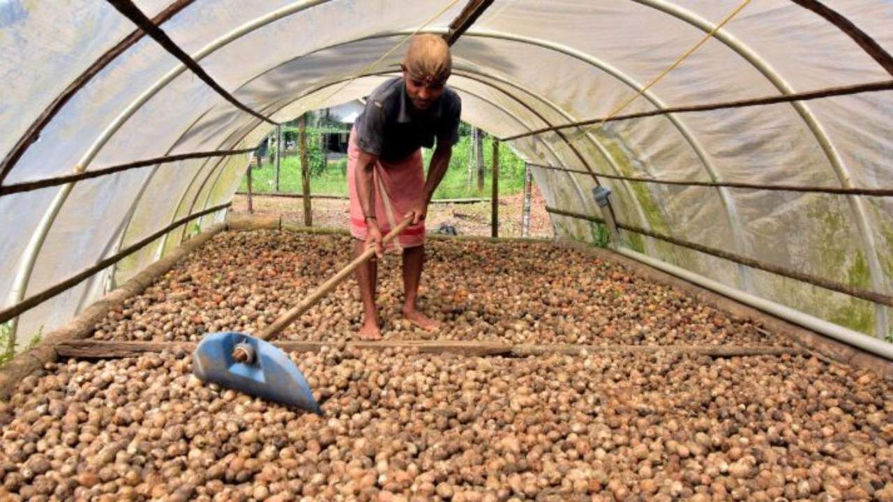 Arecanut Price 7 June: ಇಂದಿನ ಅಡಿಕೆ ಧಾರಣೆ ಎಲ್ಲೆಲ್ಲಿ ಎಷ್ಟಿದೆ? ಇಲ್ಲಿದೆ ಮಾಹಿತಿ Arecanut Price 7 June: ಇಂದಿನ ಅಡಿಕೆ ಧಾರಣೆ ಎಲ್ಲೆಲ್ಲಿ ಎಷ್ಟಿದೆ? ಇಲ್ಲಿದೆ ಮಾಹಿತಿ