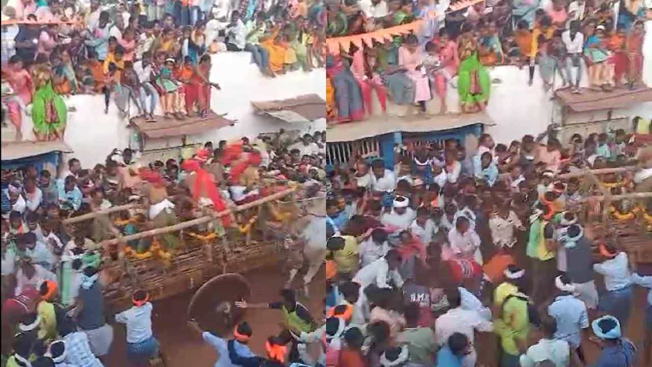 ಹಾವೇರಿ: ಕರ್ಜಗಿಯ ಕಾರಹುಣ್ಣಿಮೆಯ ಬಂಡಿ ಉತ್ಸವದಲ್ಲಿ ಅವಘಡ, ವ್ಯಕ್ತಿಯ ಮೇಲೆ ಹತ್ತಿದ ಬಂಡಿ ಹಾವೇರಿ: ಕರ್ಜಗಿಯ ಕಾರಹುಣ್ಣಿಮೆಯ ಬಂಡಿ ಉತ್ಸವದಲ್ಲಿ ಅವಘಡ, ವ್ಯಕ್ತಿಯ ಮೇಲೆ ಹತ್ತಿದ ಬಂಡಿ