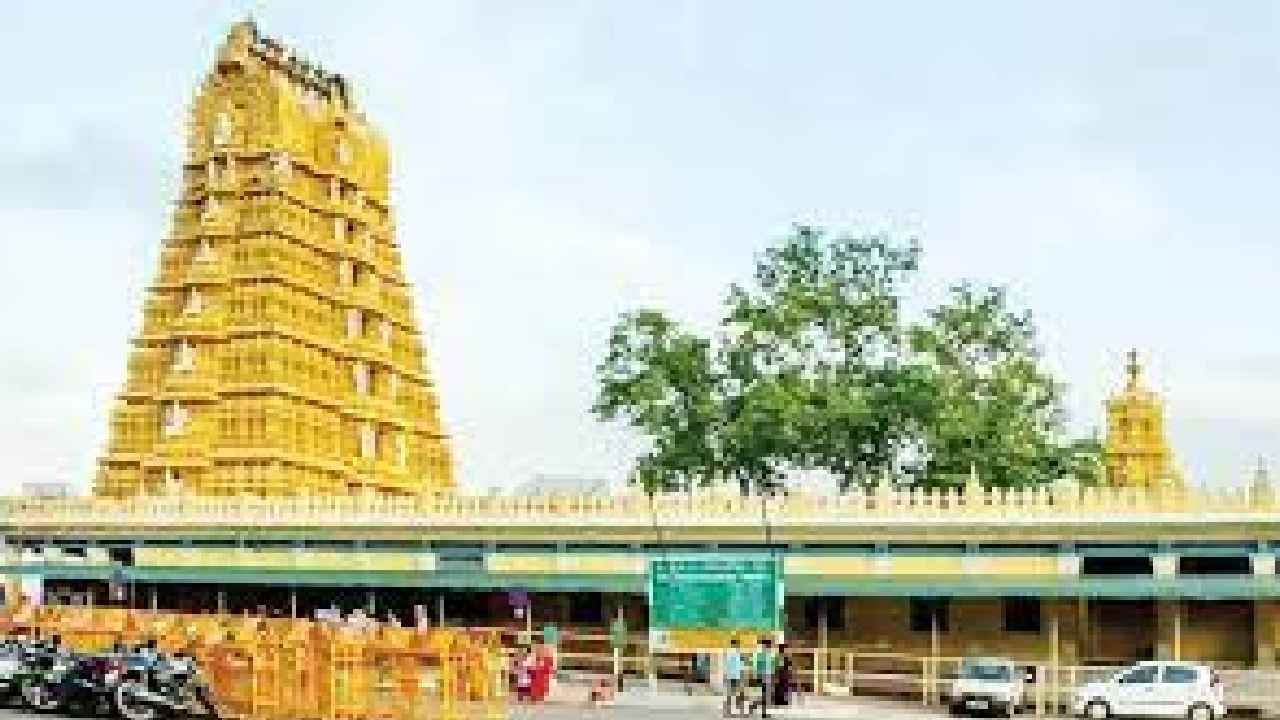 ಆಷಾಢ ಮಾಸದ ಮೊದಲ ಶುಕ್ರವಾರ, ಮೈಸೂರಿನ ಚಾಮುಂಡಿ ಬೆಟ್ಟದಲ್ಲಿ ಸಡಗರ ಸಂಭ್ರಮ: ಭಕ್ತರಿಗೆ ಪ್ರಸಾದವಾಗಿ ಮ್ಯಾಂಗೋ ಬರ್ಫಿ