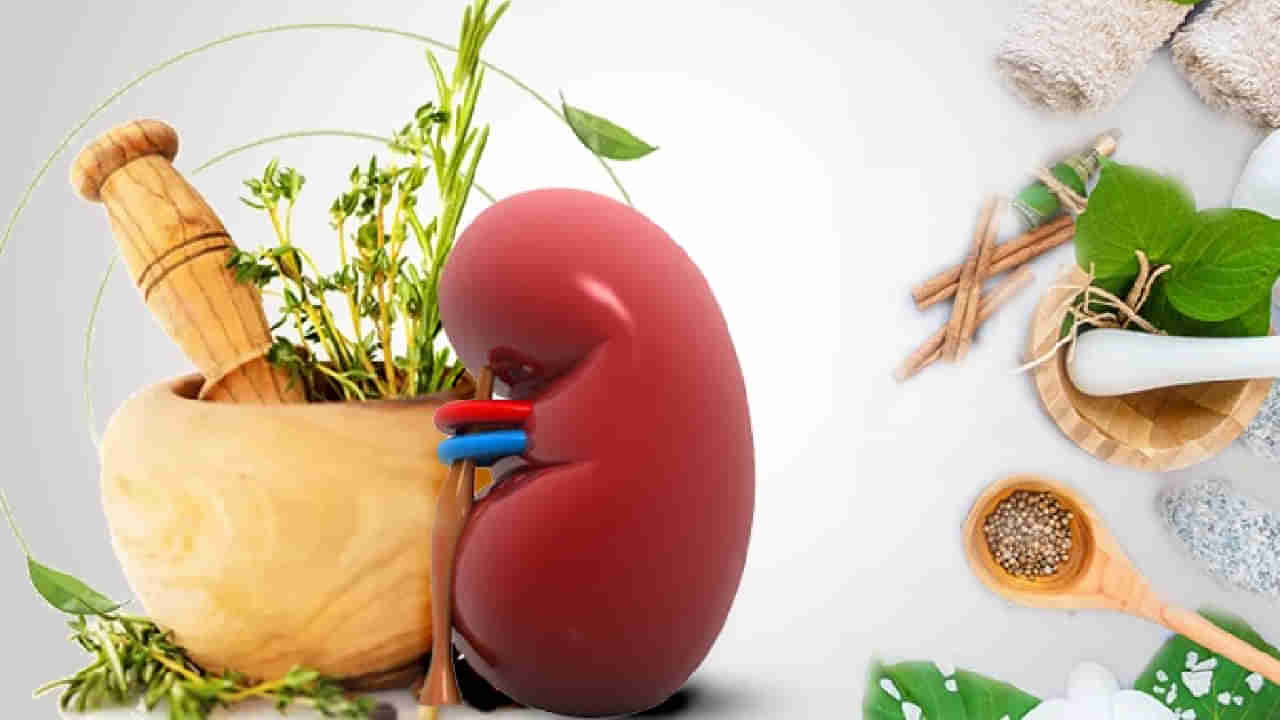 Ayurveda for kidney: ಮಹಿಳೆಯರಲ್ಲಿ ಮೂತ್ರಪಿಂಡದ ಕಾಯಿಲೆಗೆ ಕಾರಣಗಳು ಮತ್ತು ಆಯುರ್ವೇದ ಸಲಹೆಗಳು