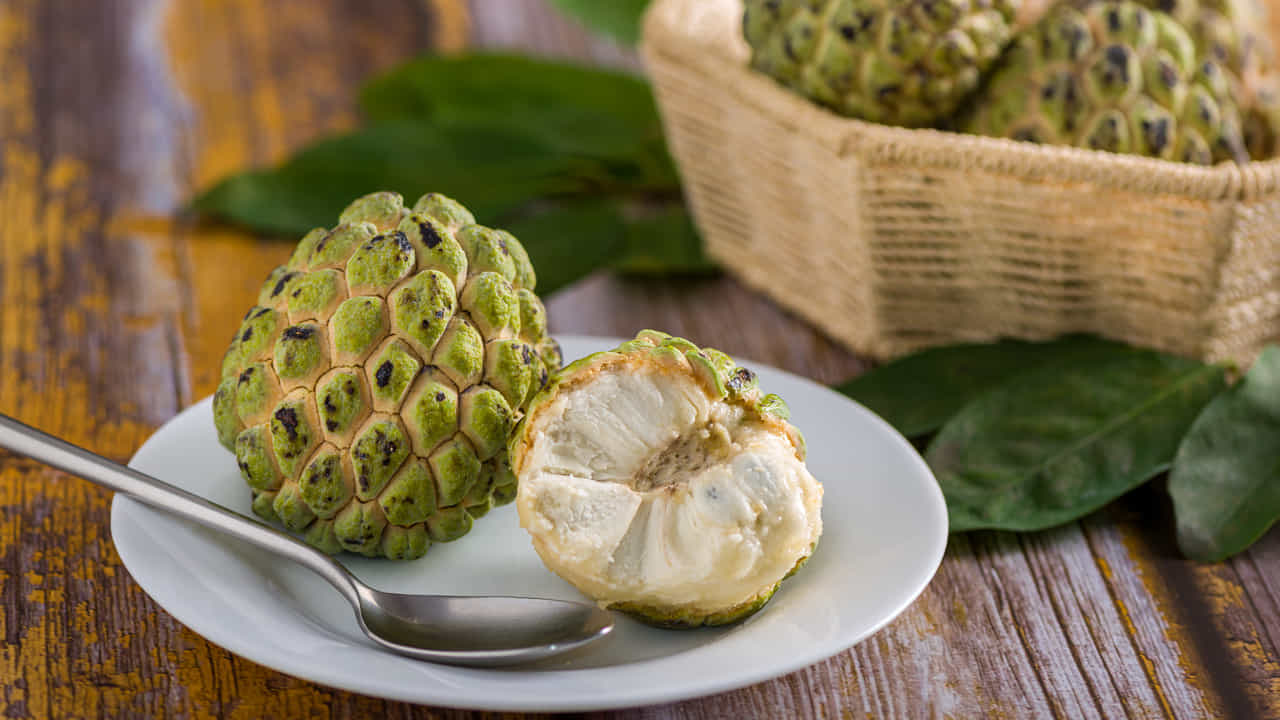 Custard apple: ಮಧುಮೇಹಿಗಳು ಸೀತಾಫಲ ಸೇವಿಸಬಹುದೇ? ತಜ್ಞರು ಹೇಳುವುದೇನು? Custard apple: ಮಧುಮೇಹಿಗಳು ಸೀತಾಫಲ ಸೇವಿಸಬಹುದೇ? ತಜ್ಞರು ಹೇಳುವುದೇನು?