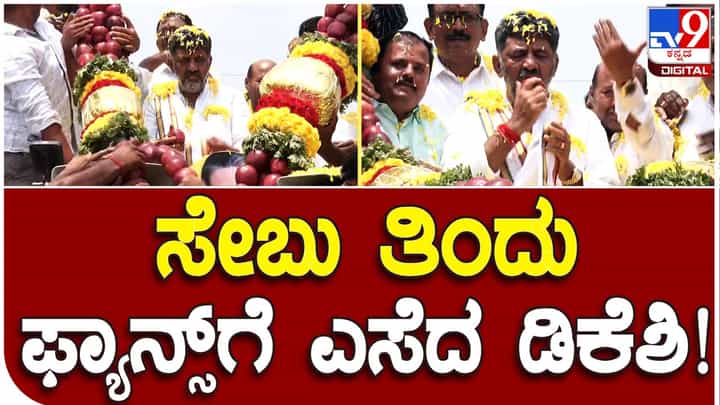 DK Shivakumar: ಕನಕಪುರದಲ್ಲಿ ಹಾರದಿಂದ ಸೇಬುಹಣ್ಣನ್ನು ಕಿತ್ತಿ ಜನರತ್ತ ಎಸೆಯುವ ಮೊದಲು ಡಿಕೆ ಶಿವಕುಮಾರ್ ಎರಡು ಬಾರಿ ಕಚ್ಚಿದರು! DK Shivakumar: ಕನಕಪುರದಲ್ಲಿ ಹಾರದಿಂದ ಸೇಬುಹಣ್ಣನ್ನು ಕಿತ್ತಿ ಜನರತ್ತ ಎಸೆಯುವ ಮೊದಲು ಡಿಕೆ ಶಿವಕುಮಾರ್ ಎರಡು ಬಾರಿ ಕಚ್ಚಿದರು!