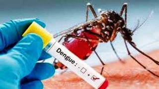 Monsoon Ailments: ಮಳೆಯು ಚರ್ಮದ ಸೋಂಕುಗಳನ್ನು ಹೆಚ್ಚಿಸಬಹುದು; ತಜ್ಞರ ಸಲಹೆ ಇಲ್ಲಿದೆ