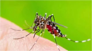 Monsoon Health Tips: ಮಳೆಗಾಲದಲ್ಲಿ ಮಕ್ಕಳು ಜೋಪಾನ, ಈ ಕಾಯಿಲೆಗಳು ಬರಬಹುದು, ಇಲ್ಲಿದೆ ತಜ್ಞರ ಸಲಹೆ