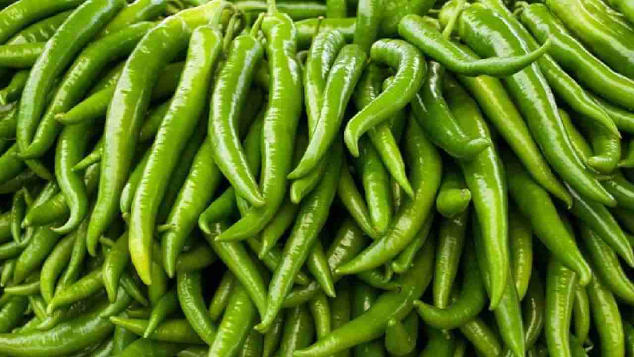 Green Chillies: ಹಸಿಮೆಣಸಿನಕಾಯಿಯ ಆರೋಗ್ಯ ಪ್ರಯೋಜನಗಳು; ಸೇವಿಸುವ ಮೊದಲು ತಿಳಿದಿರಬೇಕಾದ ವಿಷಯ
