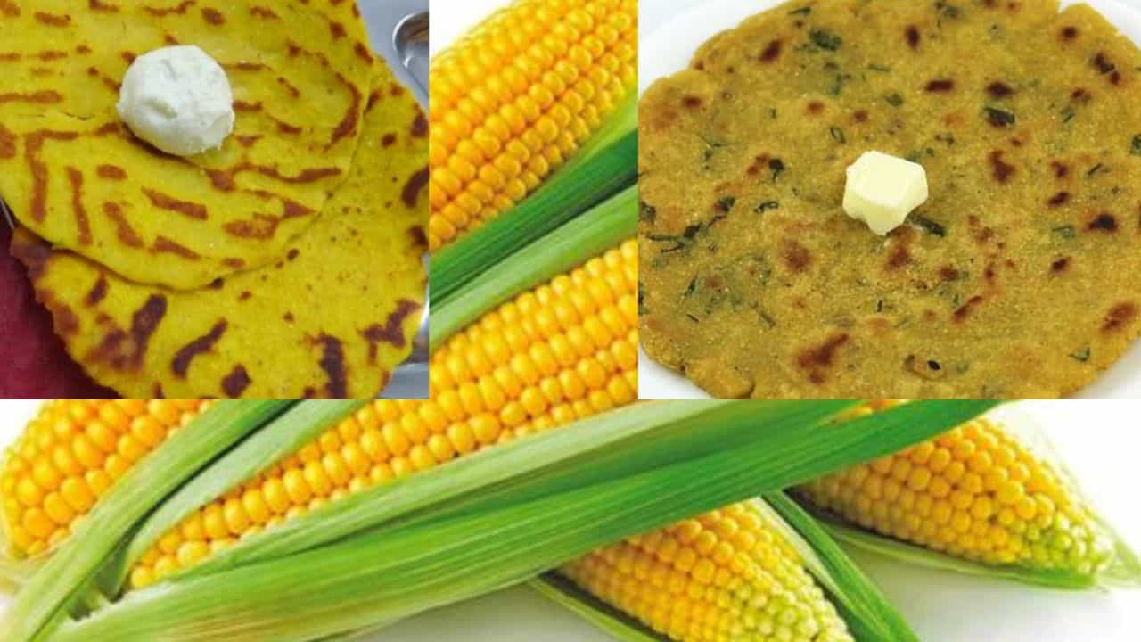 Maize roti: ಕಷ್ಟವೆನಿಸಿದರೂ ಸ್ವಲ್ಪ ಅಭ್ಯಾಸ ಮಾಡಿಕೊಳ್ಳಿ, ಮುಸುಕಿನ ಜೋಳದ ರೊಟ್ಟಿ ಸೇವನೆ ಆರೋಗ್ಯಕ್ಕೆ ಹಿತಕರ Maize roti: ಕಷ್ಟವೆನಿಸಿದರೂ ಸ್ವಲ್ಪ ಅಭ್ಯಾಸ ಮಾಡಿಕೊಳ್ಳಿ, ಮುಸುಕಿನ ಜೋಳದ ರೊಟ್ಟಿ ಸೇವನೆ ಆರೋಗ್ಯಕ್ಕೆ ಹಿತಕರ