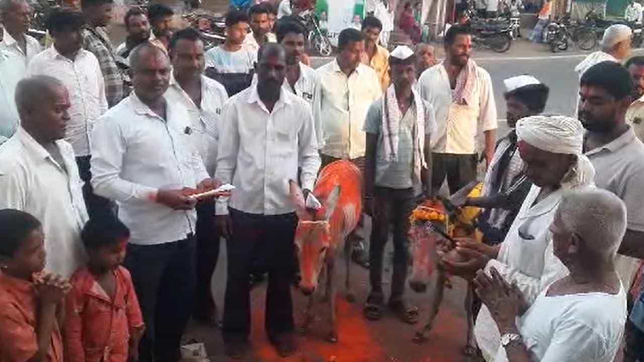 Karnataka Rain: ಕರ್ನಾಟಕದ ಹಲವೆಡೆ ಭಾರೀ ಮಳೆ, ಬಾಗಲಕೋಟೆಯಲ್ಲಿ ಮಳೆಗಾಗಿ ಕತ್ತೆಗಳಿಗೆ ಮದುವೆ Karnataka Rain: ಕರ್ನಾಟಕದ ಹಲವೆಡೆ ಭಾರೀ ಮಳೆ, ಬಾಗಲಕೋಟೆಯಲ್ಲಿ ಮಳೆಗಾಗಿ ಕತ್ತೆಗಳಿಗೆ ಮದುವೆ