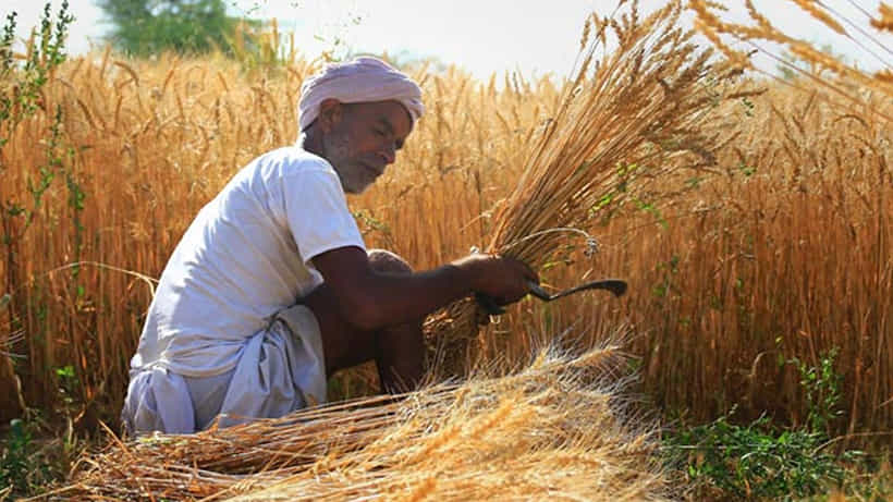 Kisan Call Centres: ಕೃಷಿ ಸಮಸ್ಯೆಗಳನ್ನು ಬಗೆಹರಿಸಲು ಕಿಸಾನ್ ಕಾಲ್ ಸೆಂಟರ್ ನವೀಕರಣಕ್ಕೆ ಮುಂದಾದ ಕೇಂದ್ರ ಸರ್ಕಾರ
