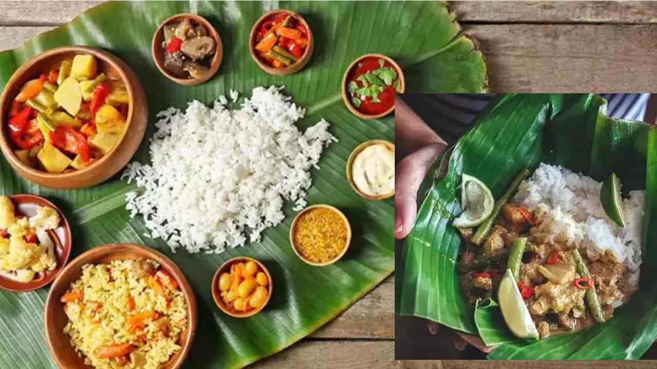 ಬಾಳೆ ಎಲೆ Banana Leaf: ಇಂದಿಗೂ ದಕ್ಷಿಣ ಭಾರತದ ಹಲವಾರು ಭಾಗಗಳಲ್ಲಿ ಬಾಳೆ ಎಲೆಯಲ್ಲಿ ಆಹಾರ ಸೇವಿಸುವ ನಿಯಮವಿದೆ. ನೀವು ದಕ್ಷಿಣ ಭಾರತದ ರೆಸ್ಟೋರೆಂಟ್ಗೆ ತಿನ್ನಲು ಹೋದಾಗ, ಅವರು ತಮ್ಮ ಸಂಪ್ರದಾಯ ಮತ್ತು ಸಂಸ್ಕೃತಿಗೆ ಅನುಗುಣವಾಗಿ ಬಾಳೆ ಎಲೆಯಲ್ಲಿ ಆಹಾರವನ್ನು ನೀಡುತ್ತಾರೆ. ದಕ್ಷಿಣ ಭಾರತವನ್ನು ಹೊರತುಪಡಿಸಿ, ಇತರ ಅನೇಕ ಸ್ಥಳಗಳಲ್ಲಿ ಬಾಳೆ ಎಲೆಗಳಲ್ಲಿ ಆಹಾರವನ್ನು ಸೇವಿಸಲಾಗುತ್ತದೆ. ಇದು ಪರಿಸರ ಸ್ನೇಹಿ ಆಯ್ಕೆಯಾಗಿದೆ, ಏಕೆಂದರೆ ಇದು ಜೈವಿಕ ವಿಘಟನೀಯ ಮತ್ತು ಬಿಸಾಡಬಹುದಾದ ಪ್ಲೇಟ್ಗಳ ಬಳಕೆಯನ್ನು ಕಡಿಮೆ ಮಾಡುತ್ತದೆ. ಹೆಚ್ಚುವರಿಯಾಗಿ, ಎಲೆಯ ನೈಸರ್ಗಿಕ ಮೇಣದ ಲೇಪನವು ಆಹಾರಕ್ಕೆ ಸೂಕ್ಷ್ಮವಾದ ಪರಿಮಳವನ್ನು ನೀಡುತ್ತದೆ, ಆದರೆ ಅದರ ಆಂಟಿಮೈಕ್ರೊಬಿಯಲ್ ಗುಣಲಕ್ಷಣಗಳು ಜೀರ್ಣಕ್ರಿಯೆಯಲ್ಲಿ ಸಮರ್ಥವಾಗಿ ಸಹಾಯ ಮಾಡುತ್ತದೆ ಮತ್ತು ಒಟ್ಟಾರೆ ಆರೋಗ್ಯವನ್ನು ಉತ್ತೇಜಿಸುತ್ತದೆ.