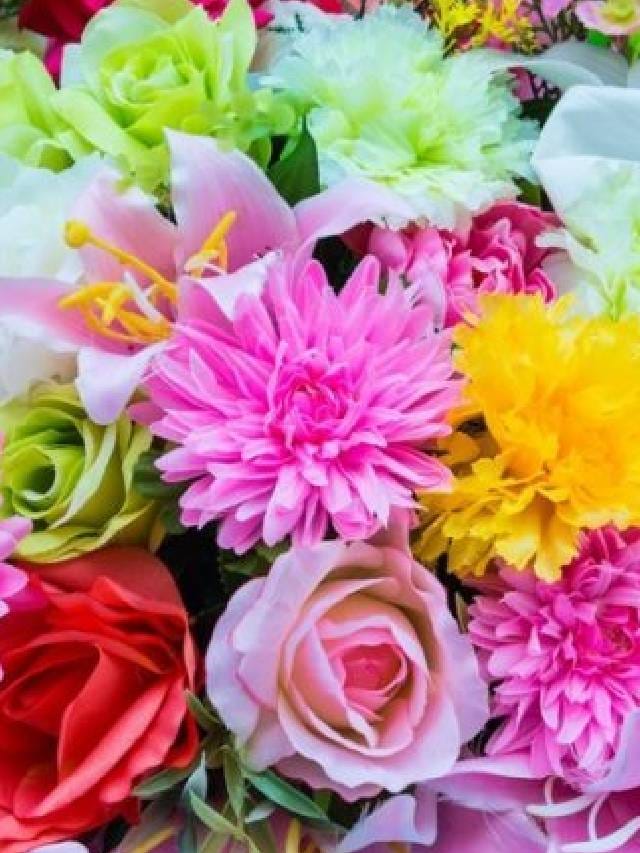 5 plants that flower throughout the year Kannada News 5 plants that