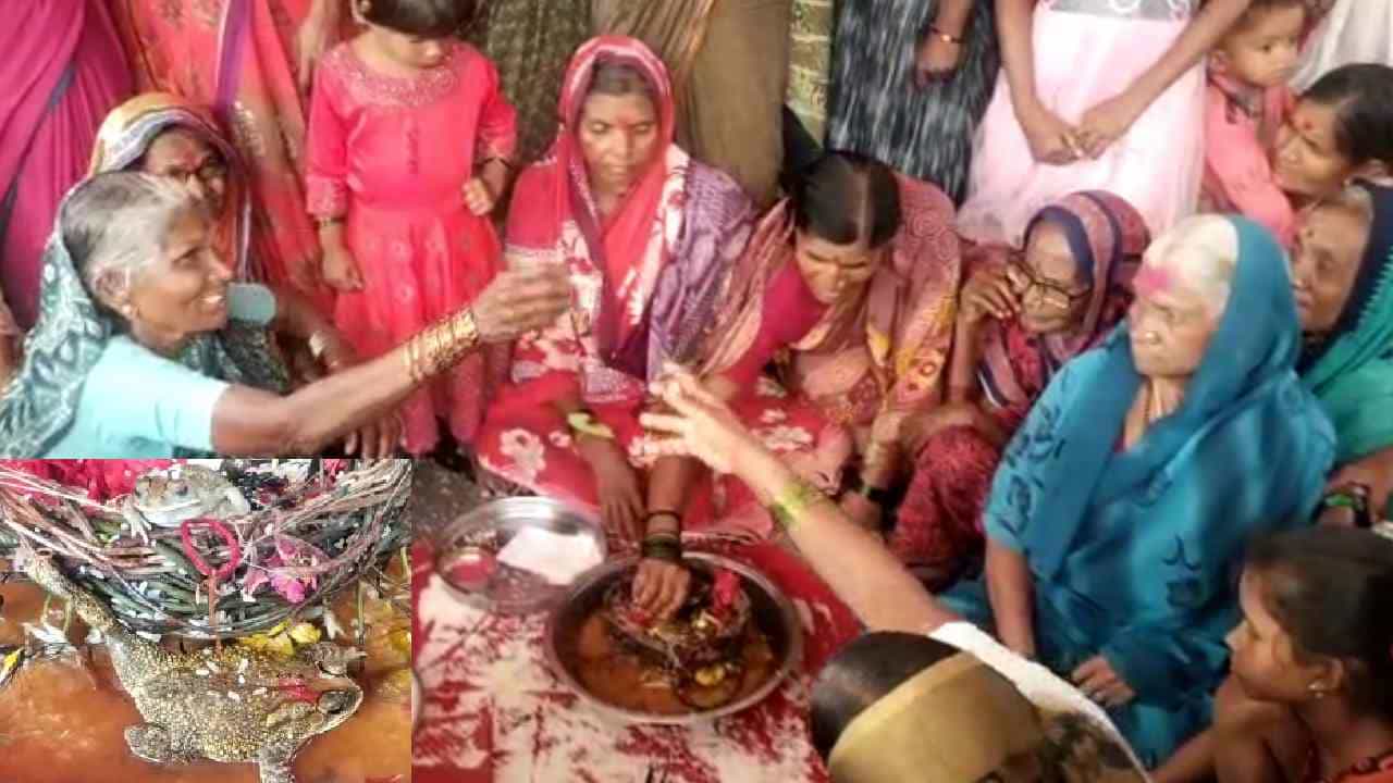 ಕಲಬುರಗಿ: ಅಲ್ಲಿ ಬಂಧು ಬಾಂಧವರು ಸೇರಿದ್ದರು. ಮುಂಜಾನೆಯಿಂದ ಮದುವೆ ಶಾಸ್ತ್ರಗಳು ಶಾಸ್ತ್ರೋಕ್ತವಾಗಿ ನಡೆದಿದ್ದವು. ಊಟಕ್ಕೆ ತರಹೇವಾರಿ ತಿನಿಸುಗಳು ಸಿದ್ದವಾಗಿದ್ದವು. ನೂರಾರು ಮಹಿಳೆಯರು ಸೋಬಾನೆ ಪದಗಳನ್ನು ಹಾಡ್ತಿದ್ದರು. ಇನ್ನೇನು ವರನಿಂದ ವಧುವಿಗೆ ತಾಳಿ ಕಟ್ಟಿದರೆ, ಮದುವೆ ಶಾಸ್ತ್ರ ಮುಗಿಯುತಿತ್ತು. ಆದ್ರೆ ಅಷ್ಟರಲ್ಲೇ ವರ ದಿ ಗ್ರೆಟ್ ಎಸ್ಕೇಪ್ ಆಗಲು ಮುಂದಾಗಿದ್ದ. ಇದನ್ನು ಗಮನಿಸಿದ ಜನರು, ವರನನ್ನು ಹಿಡಿದು ತಂದು, ಕಾಲು ಕಟ್ಟಿ, ವಧುವಿಗೆ ತಾಳಿ ಕಟ್ಟಿಸಿದ್ದಾರೆ. ಇದು ಅಚ್ಚರಿಯಾದರು ಕೂಡಾ ಸತ್ಯ.