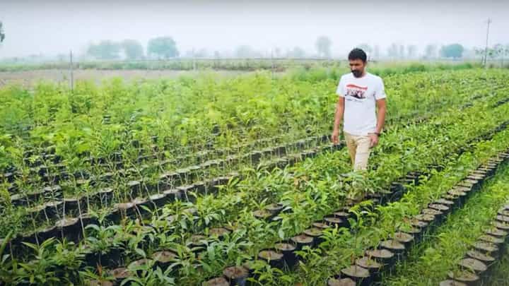 My India My Life Goals: ಹಸಿರೇ ಉಸಿರು ಅಂತ ಬಲವಾಗಿ ನಂಬಿರುವ ಚಂಡೀಗಢ್ದ ಒಬ್ಬ ಕಾನ್ಸ್ಟೇಬಲ್ ಪ್ರತಿವರ್ಷ 25 ಸಾವಿರ ಸಸಿ ನೆಡುತ್ತಾರೆ! My India My Life Goals: ಹಸಿರೇ ಉಸಿರು ಅಂತ ಬಲವಾಗಿ ನಂಬಿರುವ ಚಂಡೀಗಢ್ದ ಒಬ್ಬ ಕಾನ್ಸ್ಟೇಬಲ್ ಪ್ರತಿವರ್ಷ 25 ಸಾವಿರ ಸಸಿ ನೆಡುತ್ತಾರೆ!