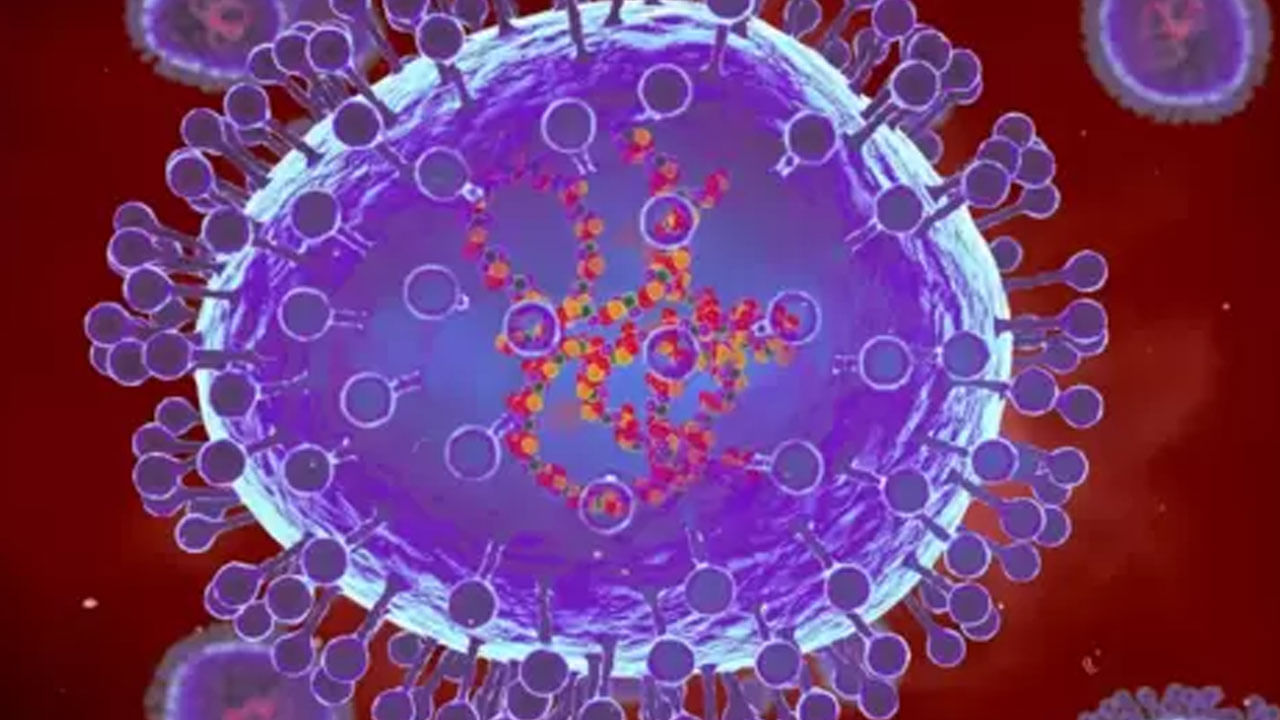HMPV Virus: ಅಮೆರಿಕದಲ್ಲಿ ಹರಡುತ್ತಿದೆ ಎಚ್ಎಂಪಿವಿ ವೈರಸ್; ಏನಿದರ ರೋಗ ಲಕ್ಷಣ?, ಮುಂಜಾಗ್ರತಾ ಕ್ರಮ ಬಗ್ಗೆ ಇಲ್ಲಿದೆ ಮಾಹಿತಿ