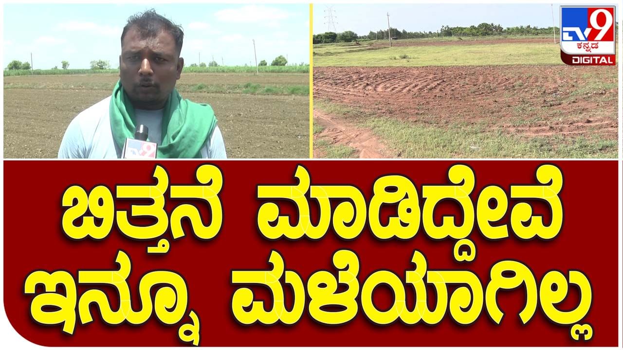 Farmers wait for Monsoon: ಮಳೆಯಾಗದೆ ಹಾವೇರಿ ಜಿಲ್ಲೆ ರೈತರು ಕಂಗಾಲು, ಎರಡು ದಿನಗಳಲ್ಲಿ ಮಳೆಯಾಗದಿದ್ದರೆ ಬಿತ್ತಿದ್ದೆಲ್ಲ ಹಾಳು!