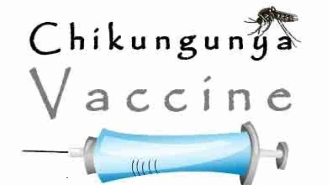 New Chikungunya Vaccine: ಚಿಕನ್ ಗುನ್ಯಾ ಲಸಿಕೆಯ ಮೂರನೇ ಹಂತ ಯಶಸ್ವಿ: ಲಸಿಕೆ ಸಂಪೂರ್ಣ ಸುರಕ್ಷಿತ