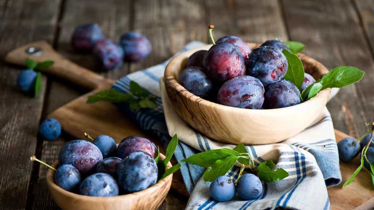 Plum Benefits: ಪ್ಲಮ್ ಹಣ್ಣು ತಿನ್ನುವುದರಿಂದ 5 ಆರೋಗ್ಯಕರ ಪ್ರಯೋಜನಗಳು ಏನು? ಇಲ್ಲಿದೆ ಮಾಹಿತಿ Plum Benefits: ಪ್ಲಮ್ ಹಣ್ಣು ತಿನ್ನುವುದರಿಂದ 5 ಆರೋಗ್ಯಕರ ಪ್ರಯೋಜನಗಳು ಏನು? ಇಲ್ಲಿದೆ ಮಾಹಿತಿ