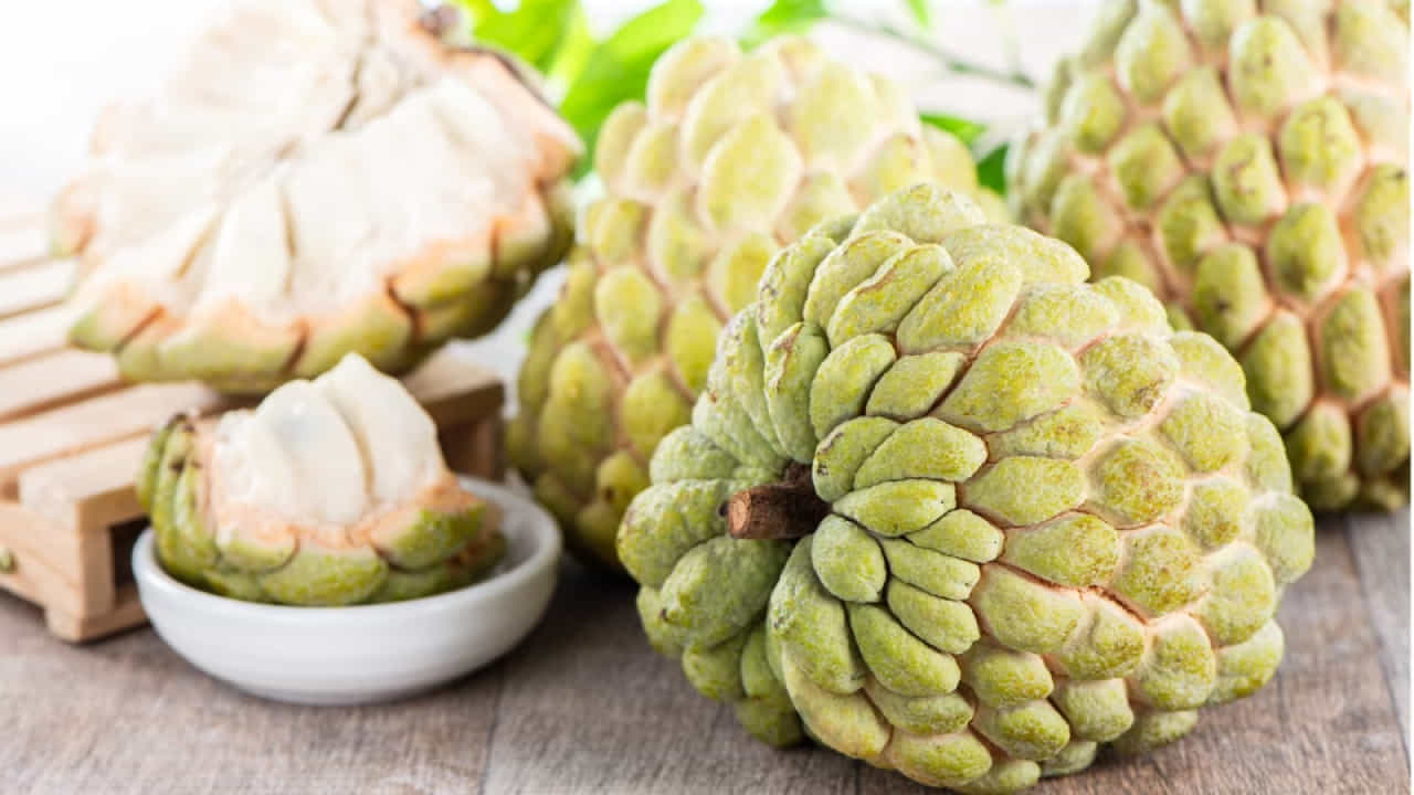 Custard apple: ಸೀತಾಫಲದ ಆರೋಗ್ಯ ಪ್ರಯೋಜನಗಳ ಬಗ್ಗೆ ತಜ್ಞರು ನೀಡಿರುವ ಉತ್ತರ ಇಲ್ಲಿದೆ