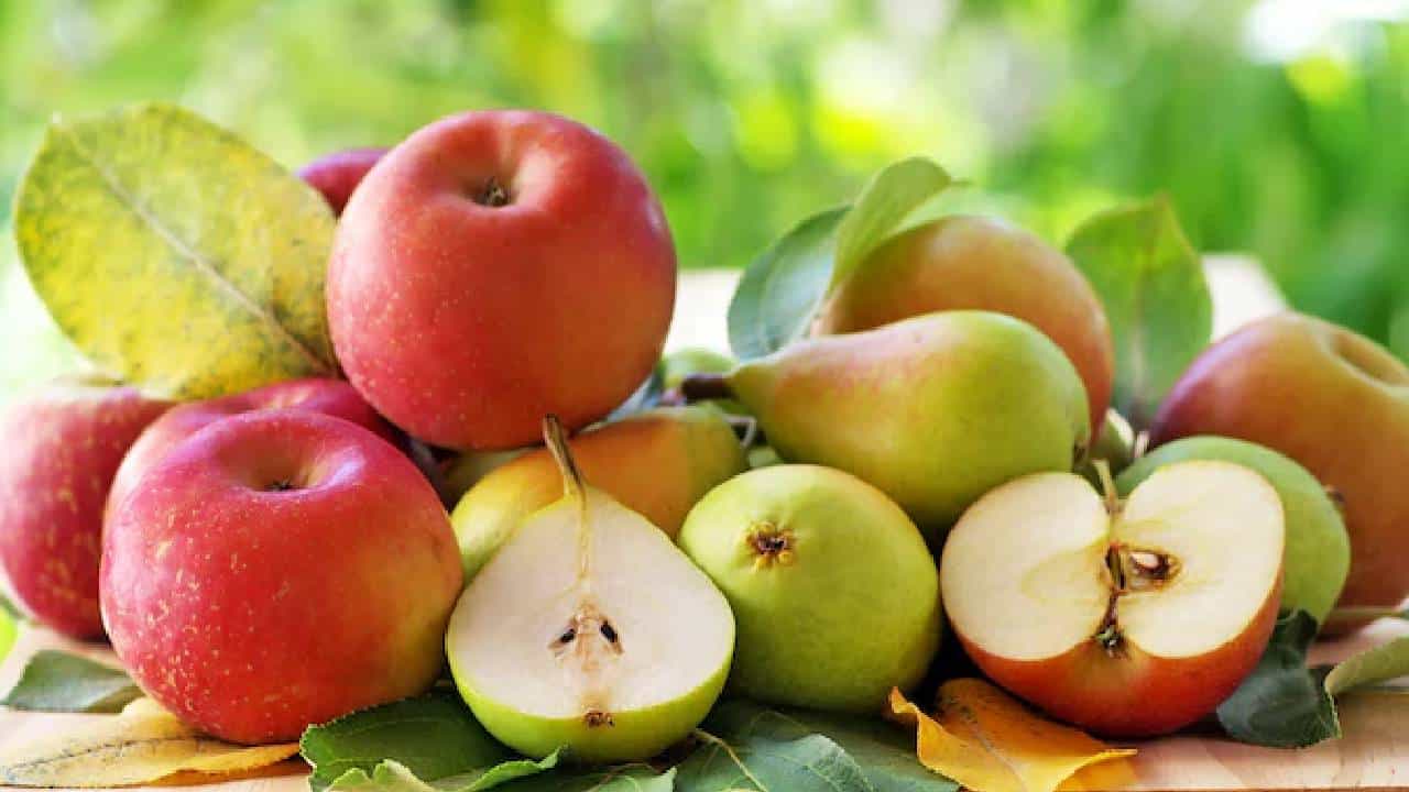 Fruits for Diabetics: ಈ 9 ಕಡಿಮೆ ಜಿಐ ಹಣ್ಣುಗಳು ಮಧುಮೇಹಿಗಳಿಗೆ ಒಳ್ಳೆಯದು Fruits for Diabetics: ಈ 9 ಕಡಿಮೆ ಜಿಐ ಹಣ್ಣುಗಳು ಮಧುಮೇಹಿಗಳಿಗೆ ಒಳ್ಳೆಯದು