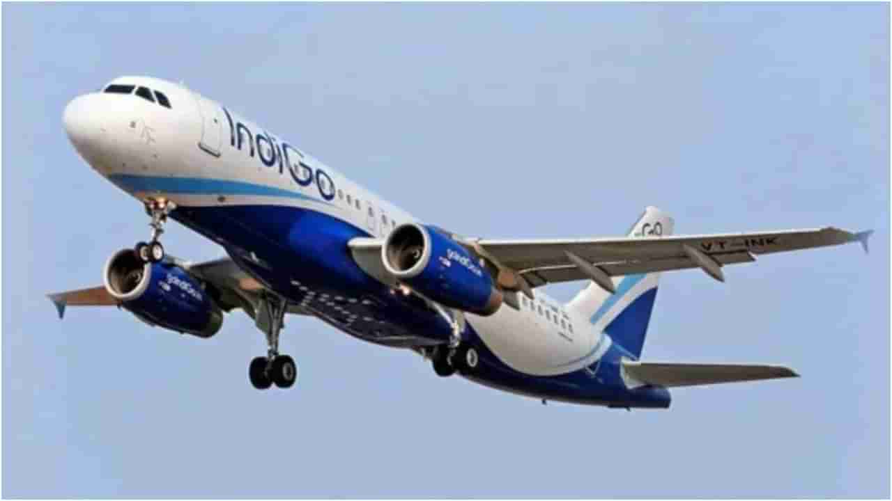 IndiGo: ಏರ್​ಬಸ್​ನಿಂದ 500 ವಿಮಾನ ಖರೀದಿಸಲಿದೆ ಇಂಡಿಗೋ; ದಾಖಲೆಯ ಒಪ್ಪಂದ